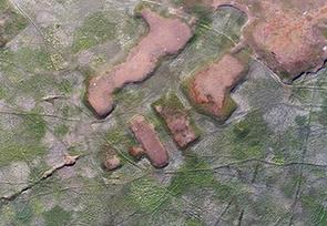 （生态）（4）鄱阳湖进入枯水期 展现“骨感之美”