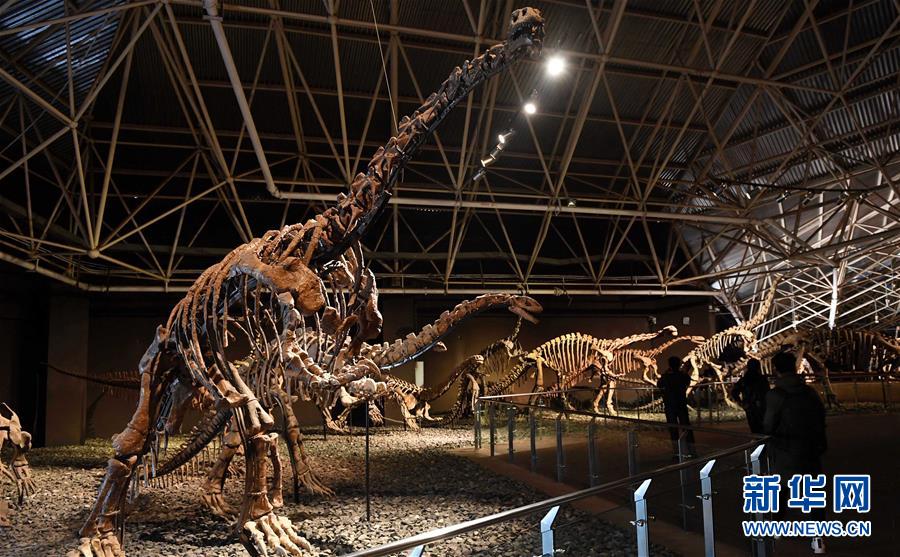 游客在云南楚雄禄丰县世界恐龙谷观看恐龙化石(12月23日摄.