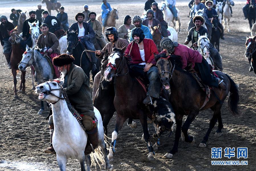 （国际）（2）阿富汗首都举行“马背叼羊”大赛