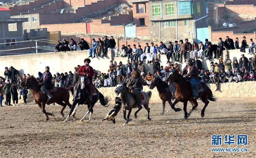 （国际）（4）阿富汗首都举行“马背叼羊”大赛