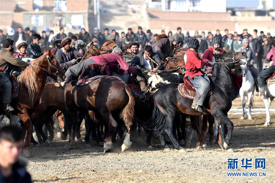 （国际）（7）阿富汗首都举行“马背叼羊”大赛