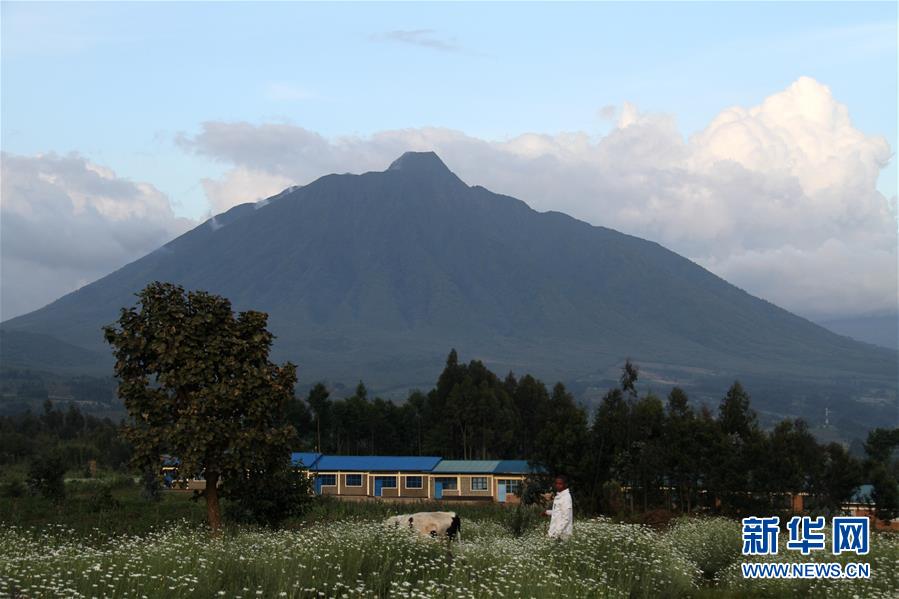 （国际·图文互动）（4）通讯：非洲火山下的野保接力