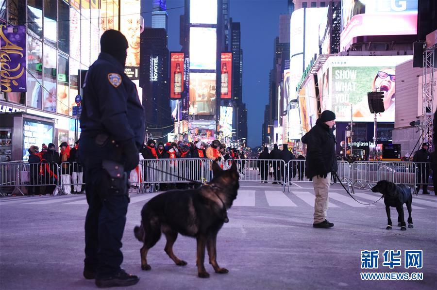 （国际）（7）纽约时报广场加强安保迎新年