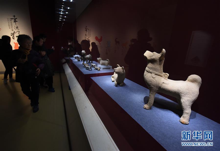 （文化）（3）南京博物院举办“幸运狗”院藏犬文物展
