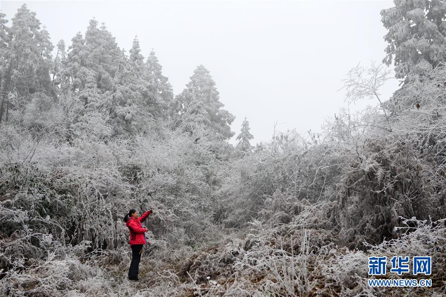 #（环境）（5）贵州苗岭国家地质公园冬景美