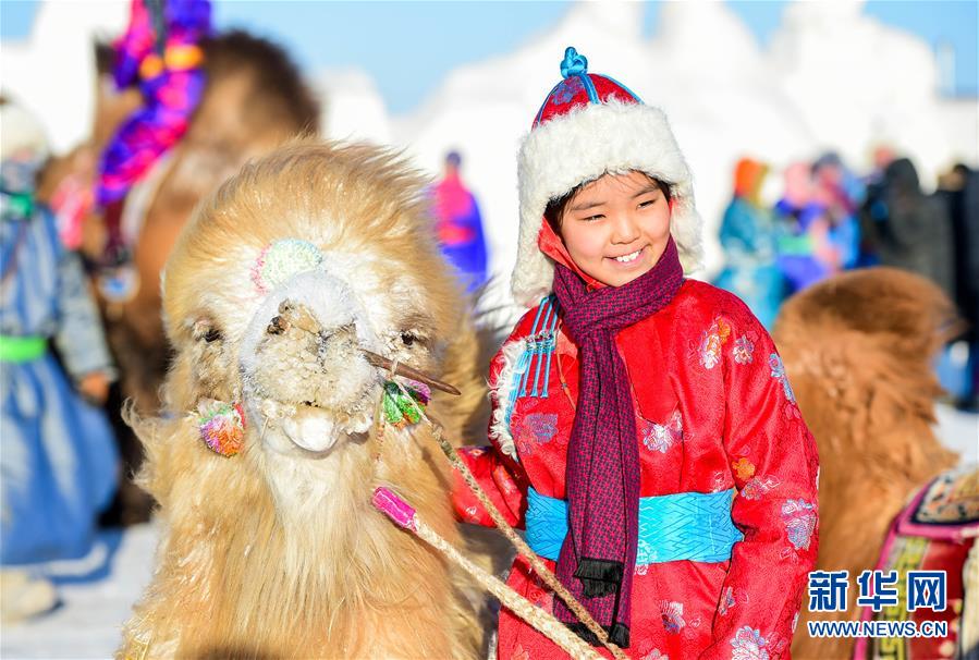 （社会）（4）冰雪草原上的骆驼文化节