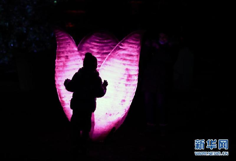 （XHDW）（3）法兰克福棕榈园举办“冬日灯光秀”