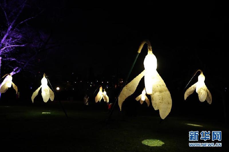 （XHDW）（2）法兰克福棕榈园举办“冬日灯光秀”
