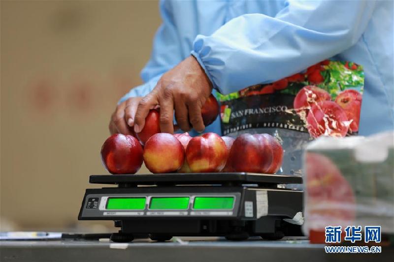 （国际·图文互动）（9）通讯：从“明星产品”樱桃到“新生力量”油桃——智利水果出口商的中国生意经