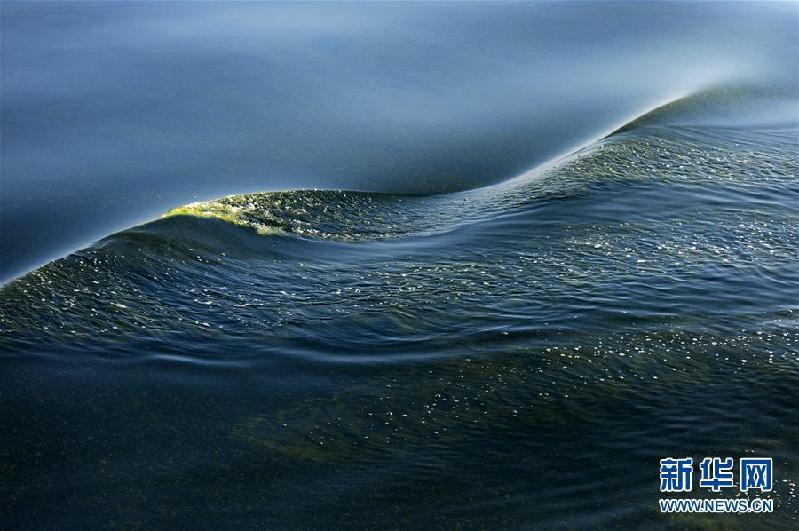 （科技）（1）莫克兰海沟现藻华现象