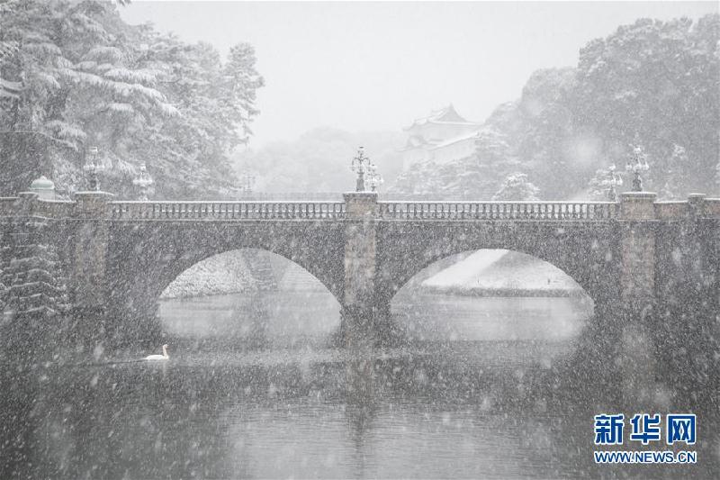 （国际）（3）东京迎初雪