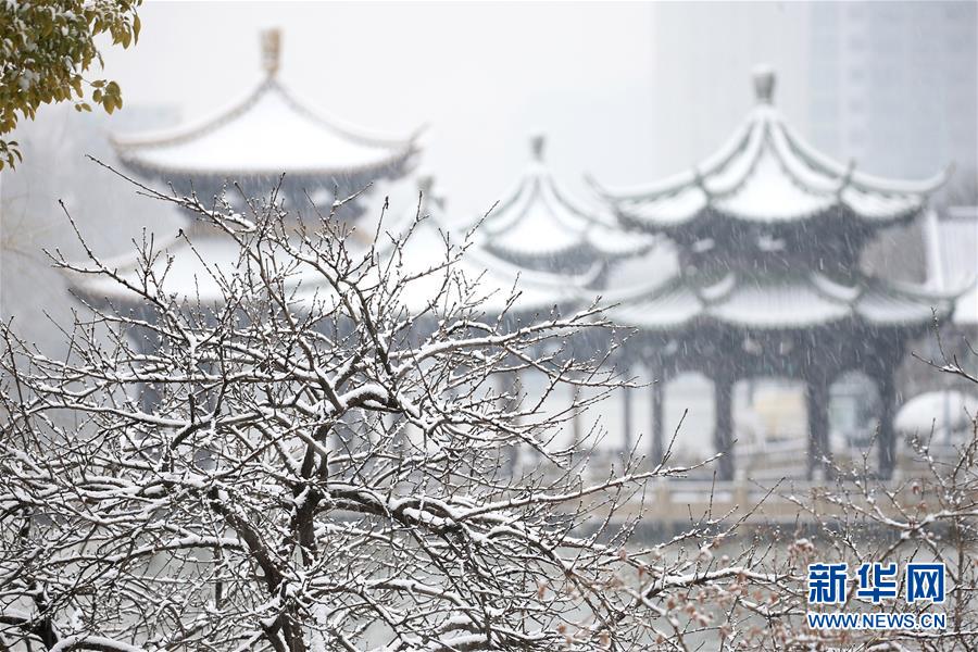 #（环境）（8）强冷空气继续影响我国中东部地区 多地降雪