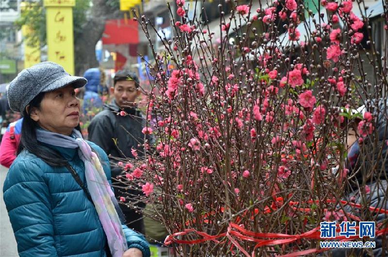 （国际）（7）越南民众备新春 