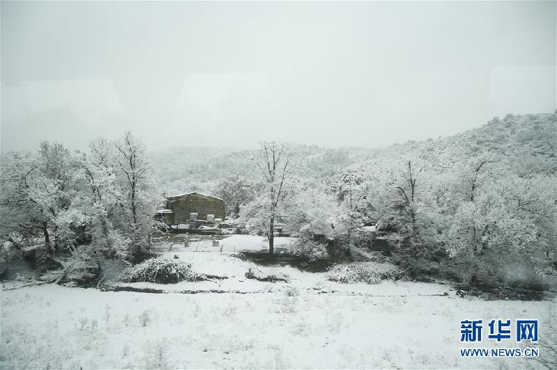 （国际）（4）法国尼斯大雪导致航空交通停滞