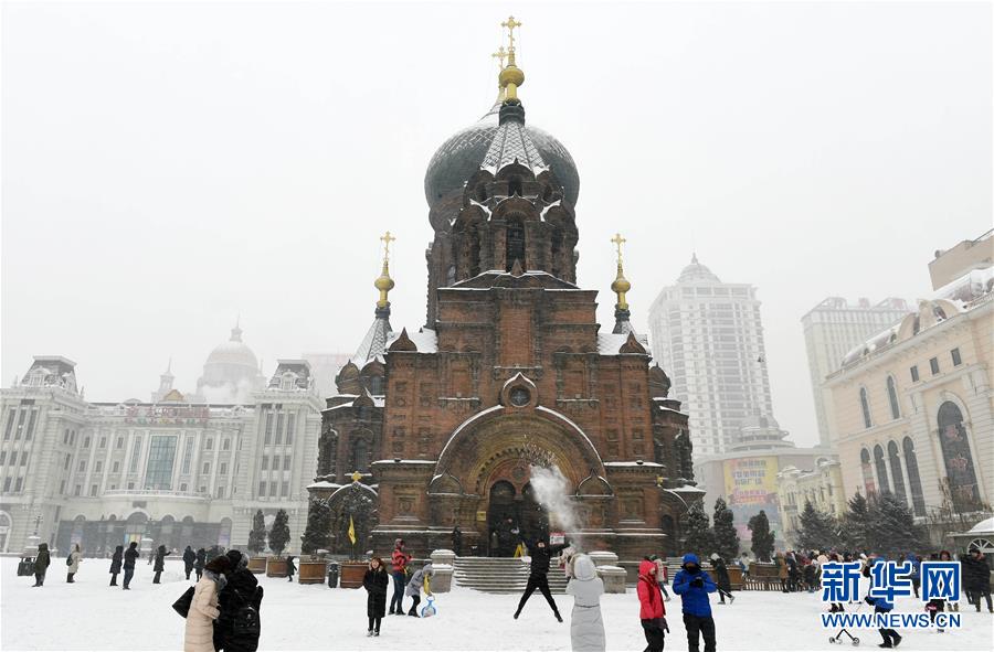 （环境）（4）黑龙江再遇强降雪