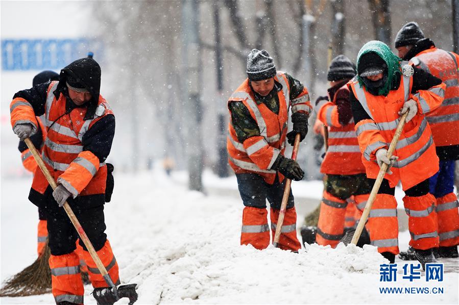 （环境）（5）黑龙江再遇强降雪