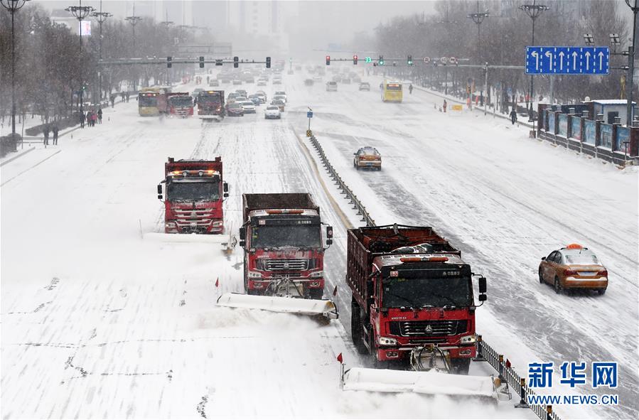 （环境）（6）黑龙江再遇强降雪