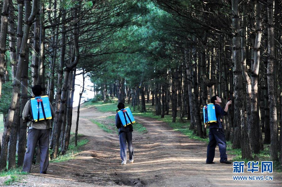 （图文互动）（2）贵州沙子坡林场：三代护林员守护一片“林海”