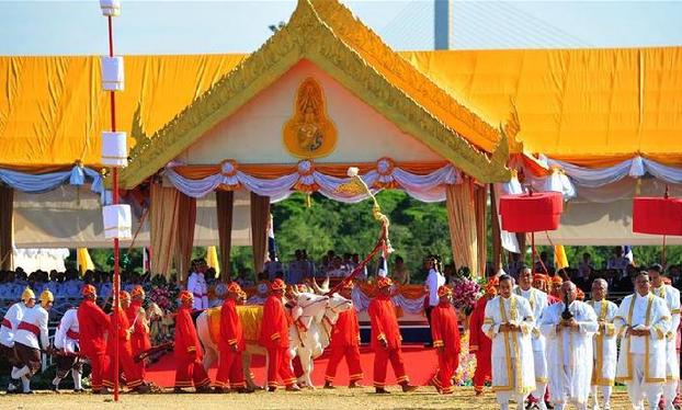 （国际）（3）泰国举行春耕播种仪式