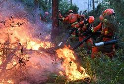 （社会）（1）大兴安岭火灾：救火队员连夜作战