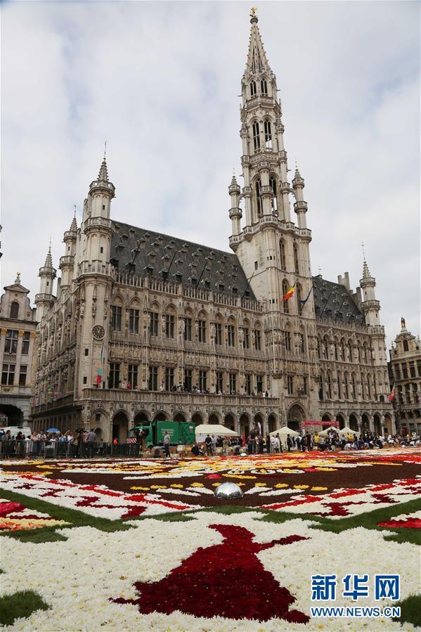 （国际）（9）布鲁塞尔鲜花地毯