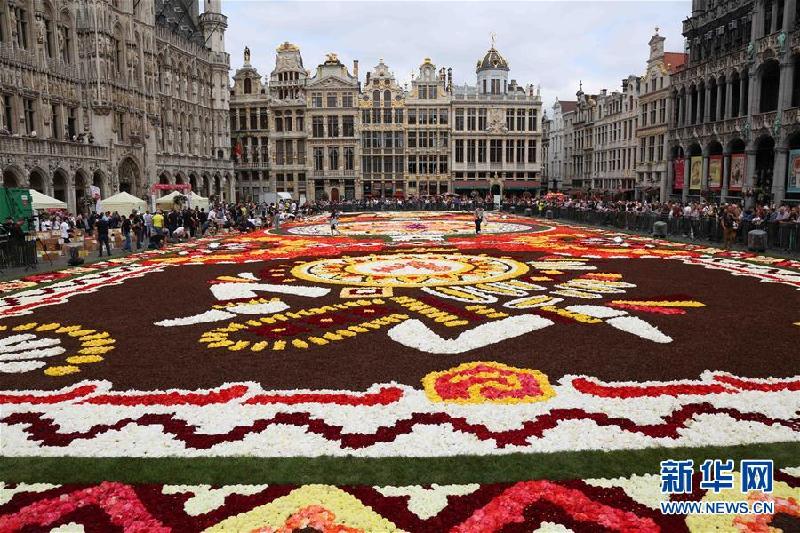 （国际）（8）布鲁塞尔鲜花地毯