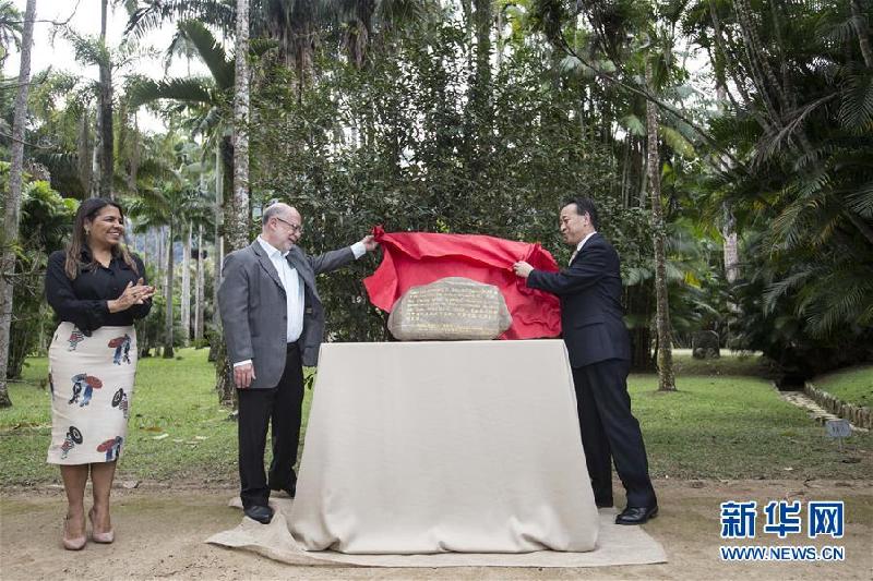 （XHDW）（1）“首批中国茶农抵达巴西纪念牌”在里约揭牌