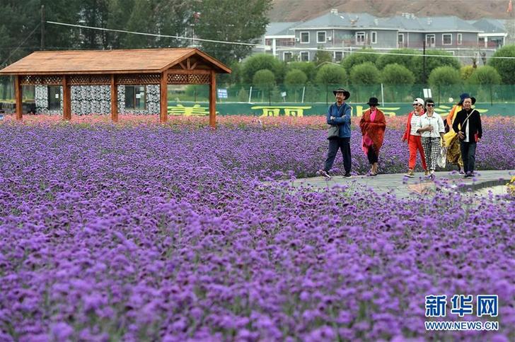 （经济）（2）甘肃：乡村旅游让农民享受“绿色收益”