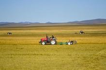 （经济）（1）内蒙古：草原打草忙