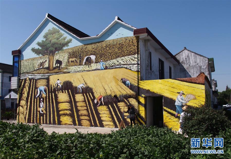 （社会）（1）上海金山有个“壁画村”