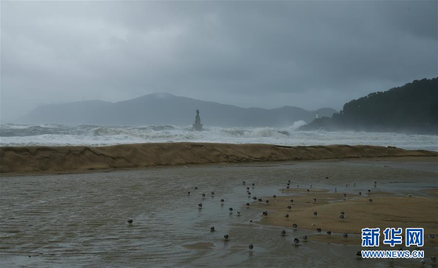 （国际）（3）台风“康妮”登陆韩国
