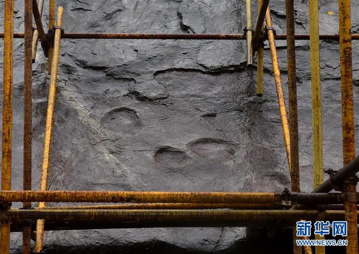 （社会）（7）中希合作“保育”北京延庆恐龙足迹化石