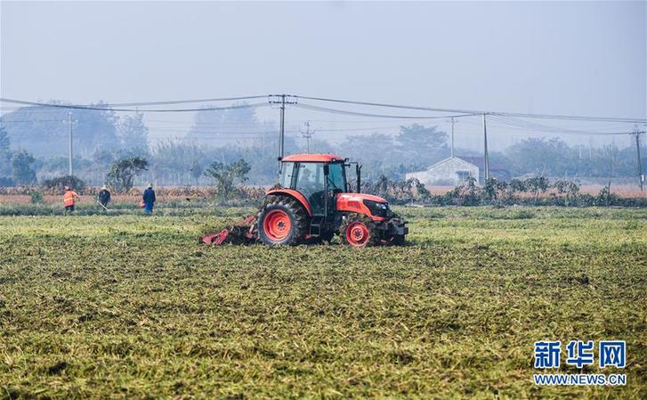 （经济）（2）“产业升级”龟鳖养殖棚变身绿色生态稻米基地