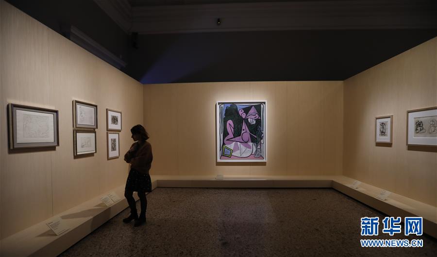 （国际）（5）米兰举行“毕加索·变形记”展