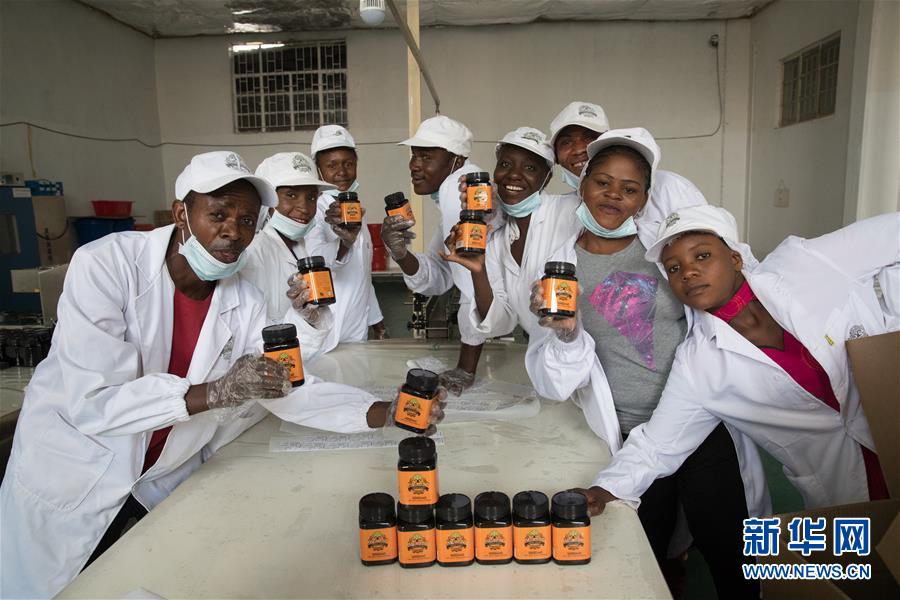 （国际·聚焦进口博览会·图文互动）（8）通讯：赞比亚蜂蜜企业欲借进博会开拓中国市场