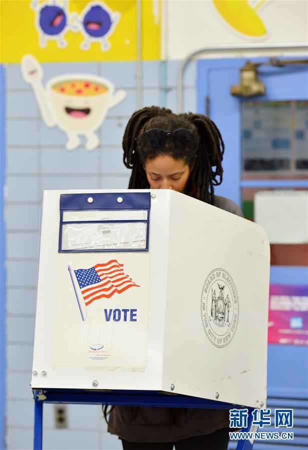 （国际）（5）美国中期选举投票开始