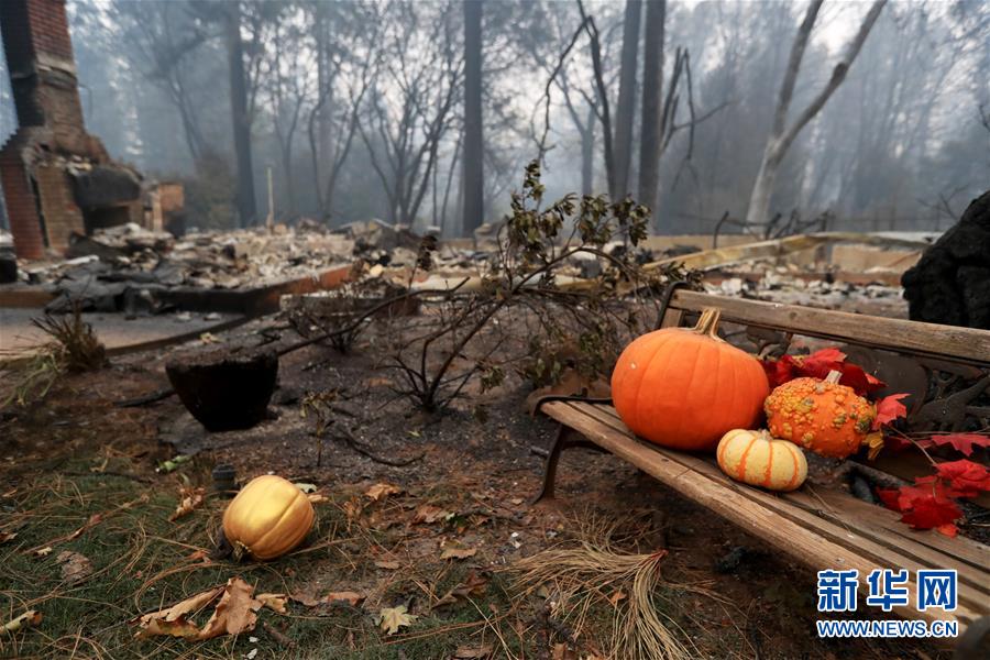 （国际）（2）美国加州北部山火遇难人数升至56人