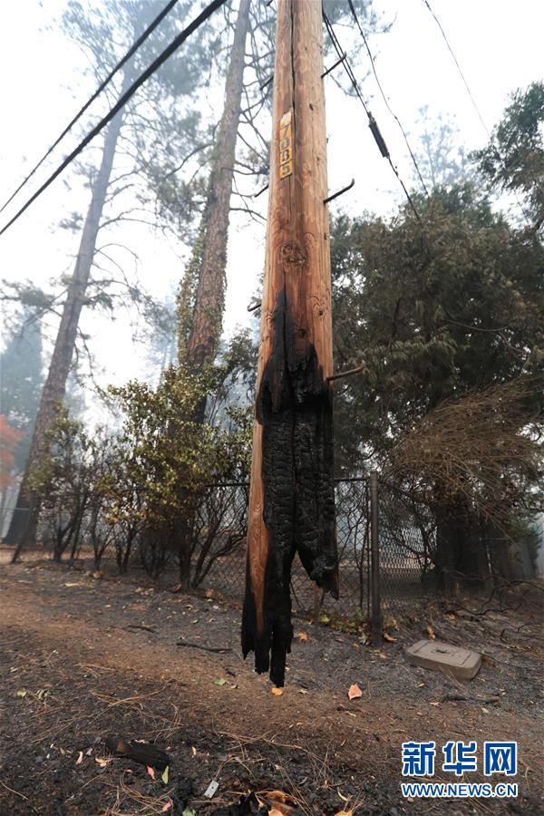 （国际）（4）美国加州北部山火遇难人数升至56人