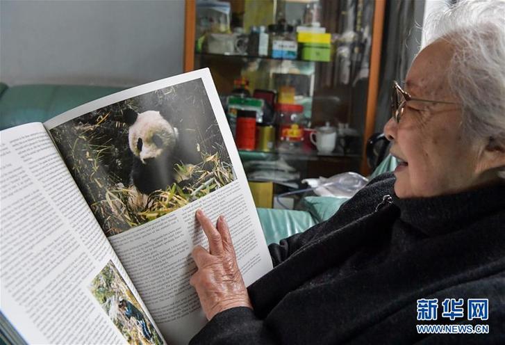 （图文互动）（3）“熊猫小姐”金勖琪：我与世界级萌宠的不解缘