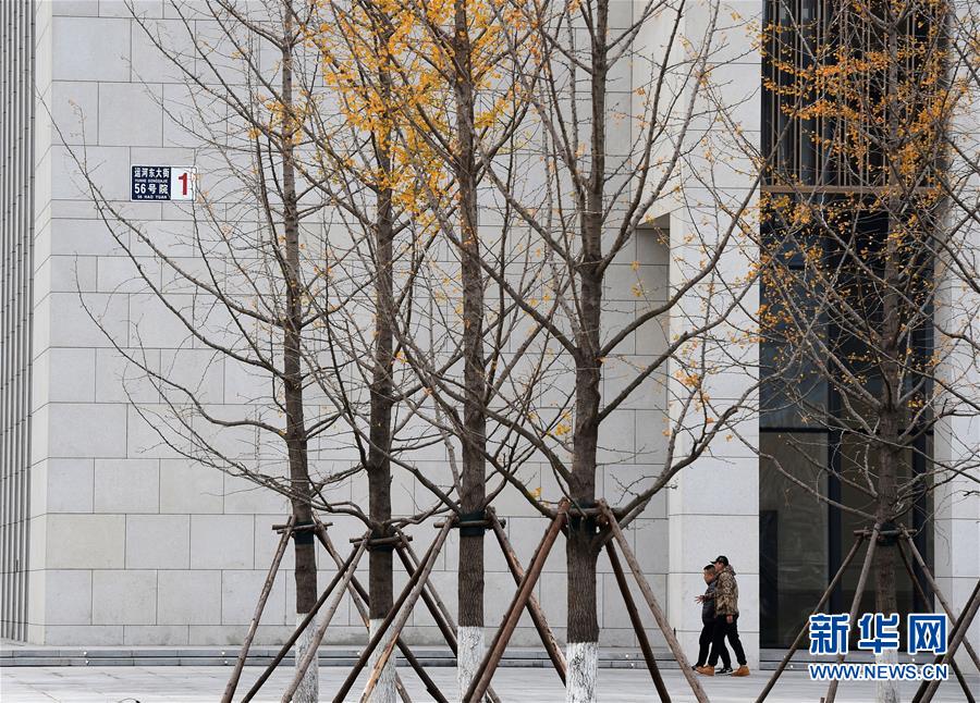 （图文互动）（4）北京城市副中心行政办公区启用