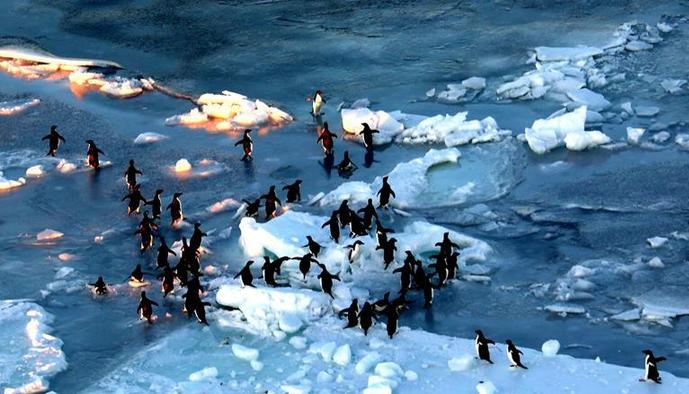 （“雪龙”探南极）（3）美丽的普里兹湾