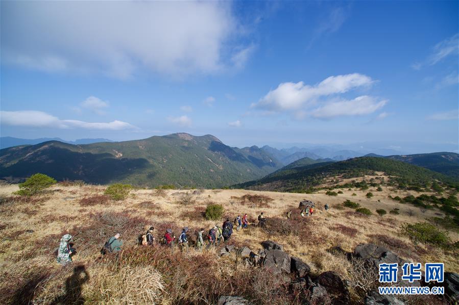 （社会）（6）武夷山国家公园开展生态科考活动