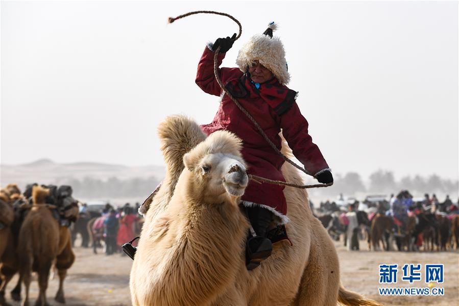 （社会）（2）内蒙古自治区第二届骆驼那达慕开幕