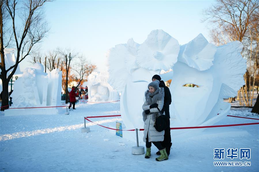 （社会）（5）哈尔滨太阳岛“雪博会”开园