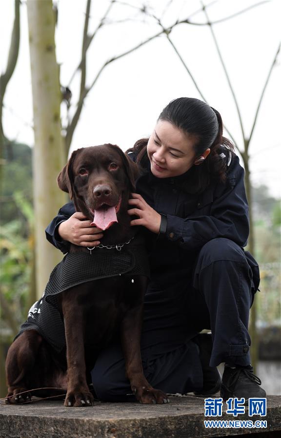 （关注春运·图片故事）（3）一个“警犬妈妈”的十年春运坚守