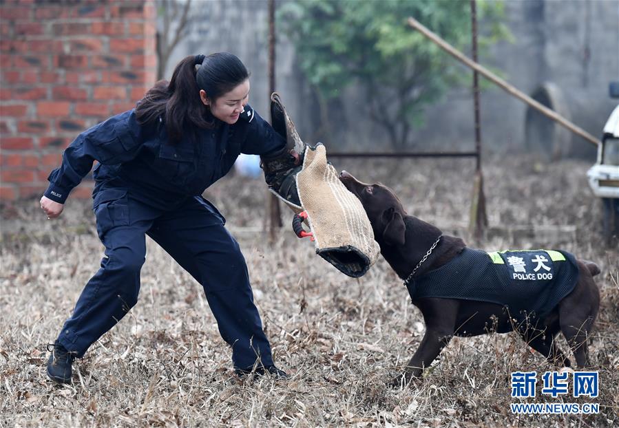 （关注春运·图片故事）（8）一个“警犬妈妈”的十年春运坚守