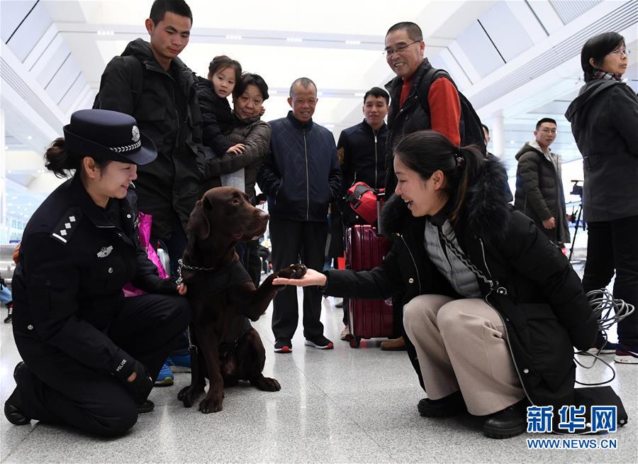 （关注春运·图片故事）（9）一个“警犬妈妈”的十年春运坚守