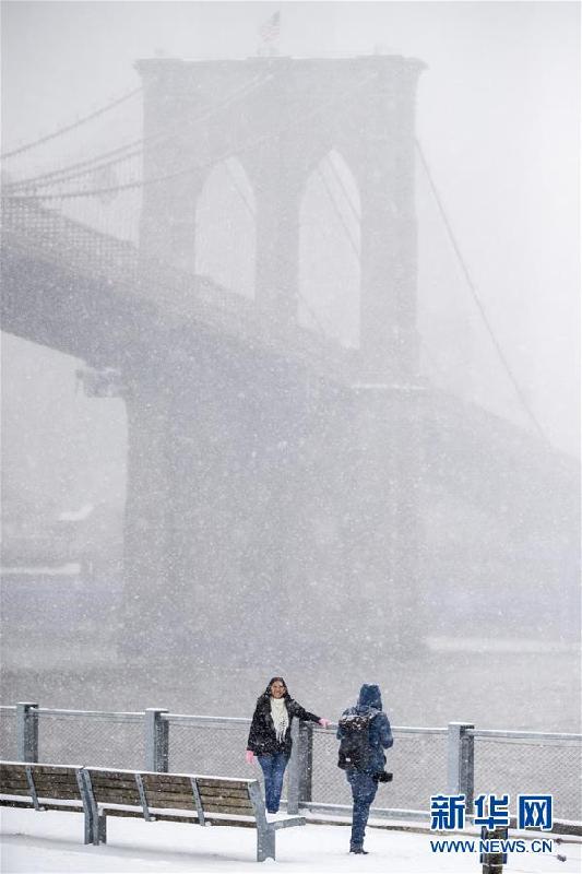 （国际）（2）雪降纽约
