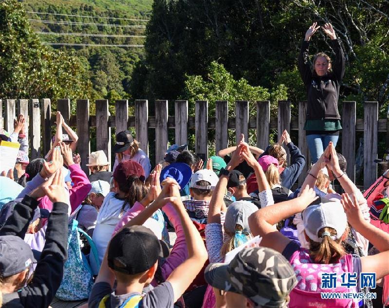 （国际·图文互动）（1）特写：新西兰小学生的一次户外实践课