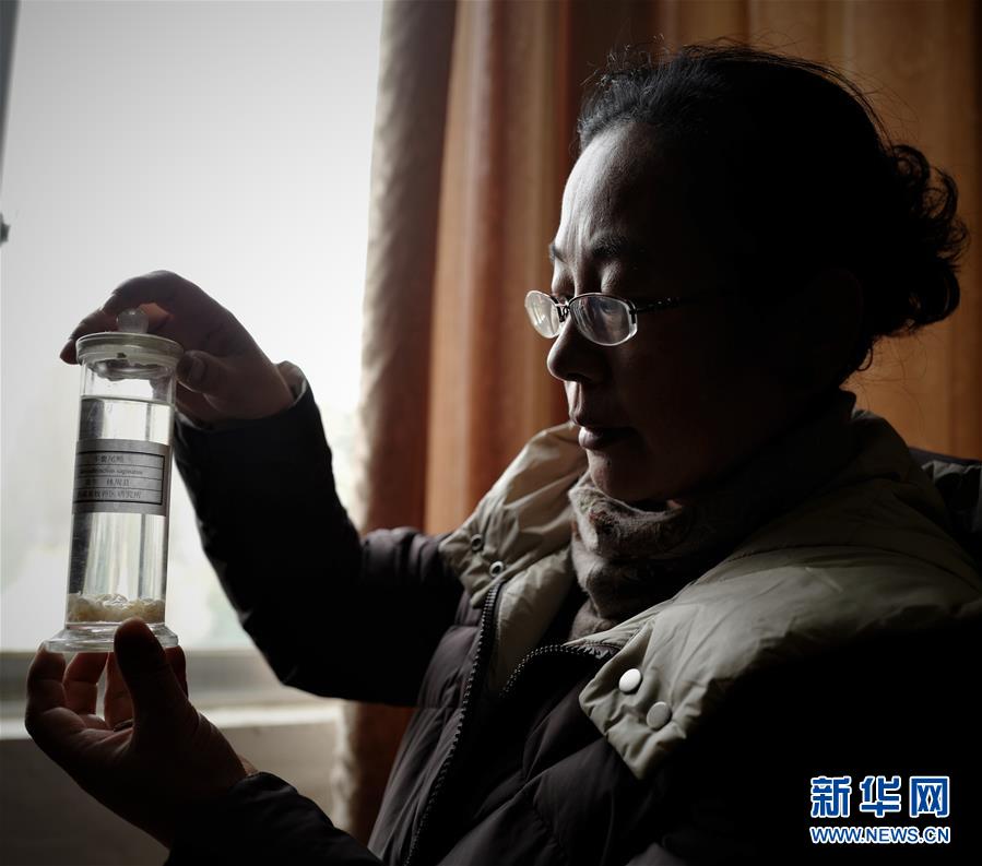 （图片故事）（3）姬秋梅：破译青藏高原牦牛“生命密码”的藏族女博士